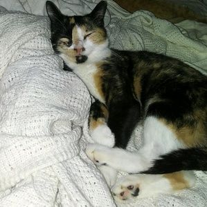 Meet your Posher, Holly